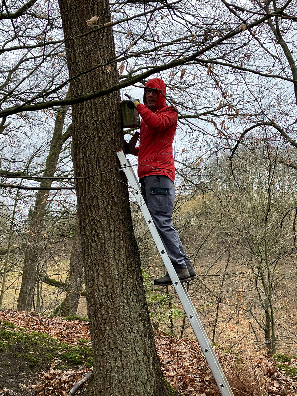 02-21-Nistkästen_02