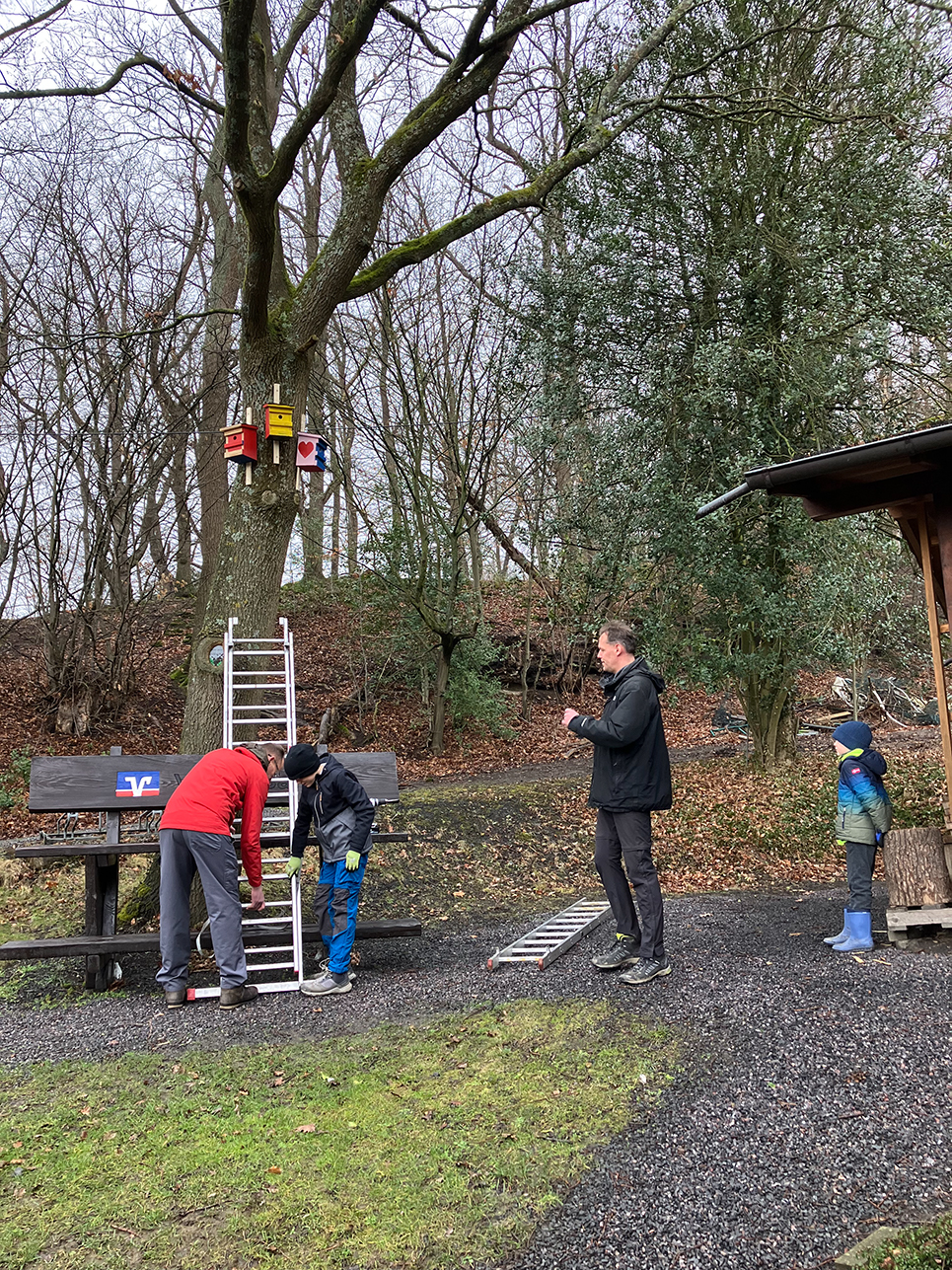 02-21-Nistkästen_05