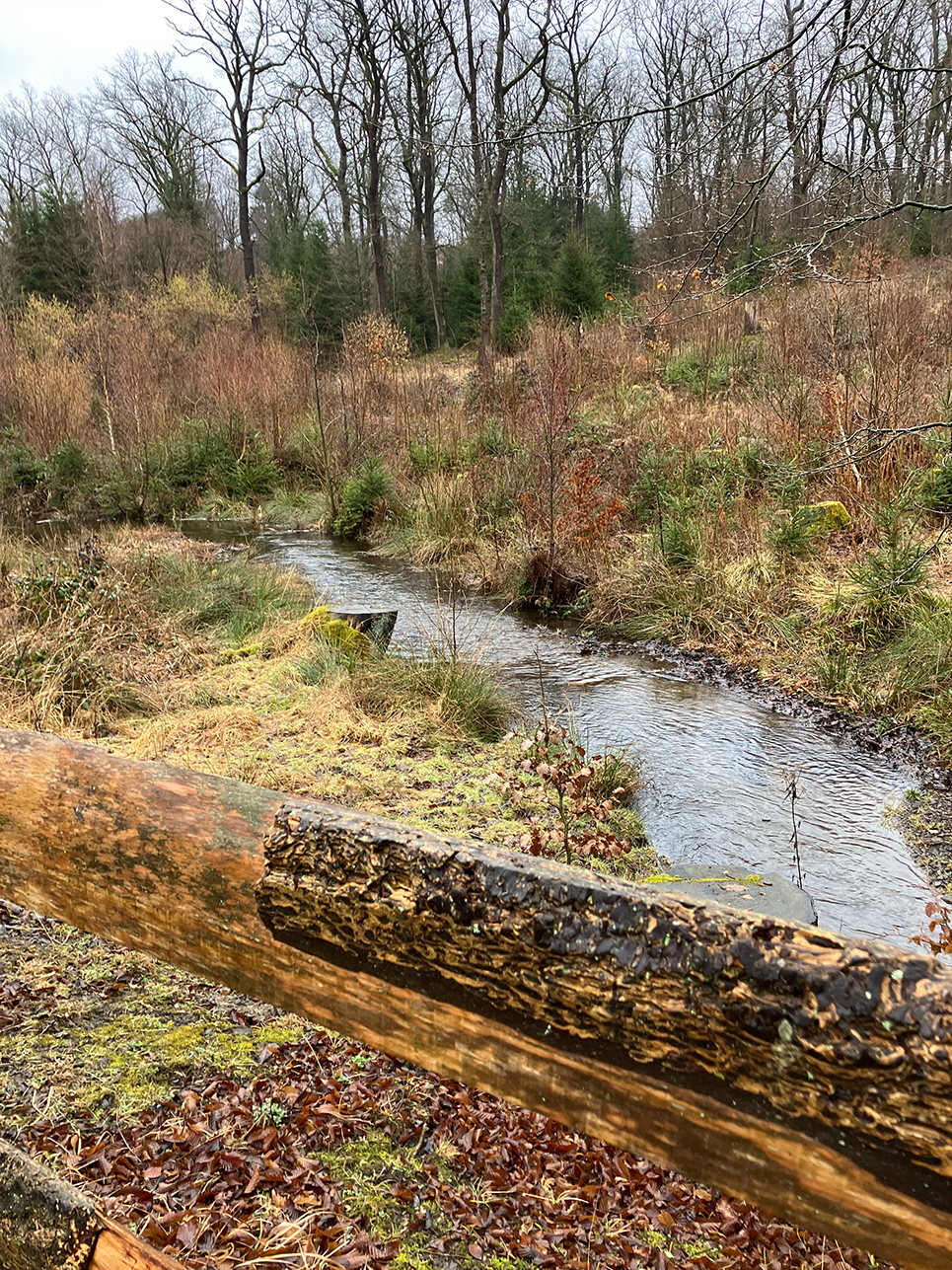 %_tempFileName02-22-Bilsteintal_02%