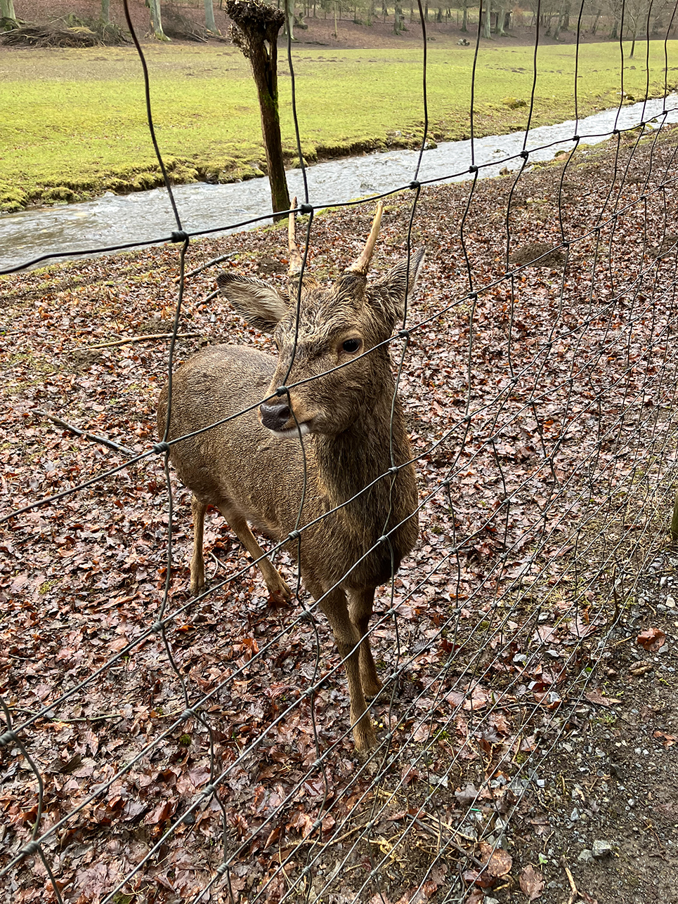 %_tempFileName02-22-Bilsteintal_08%