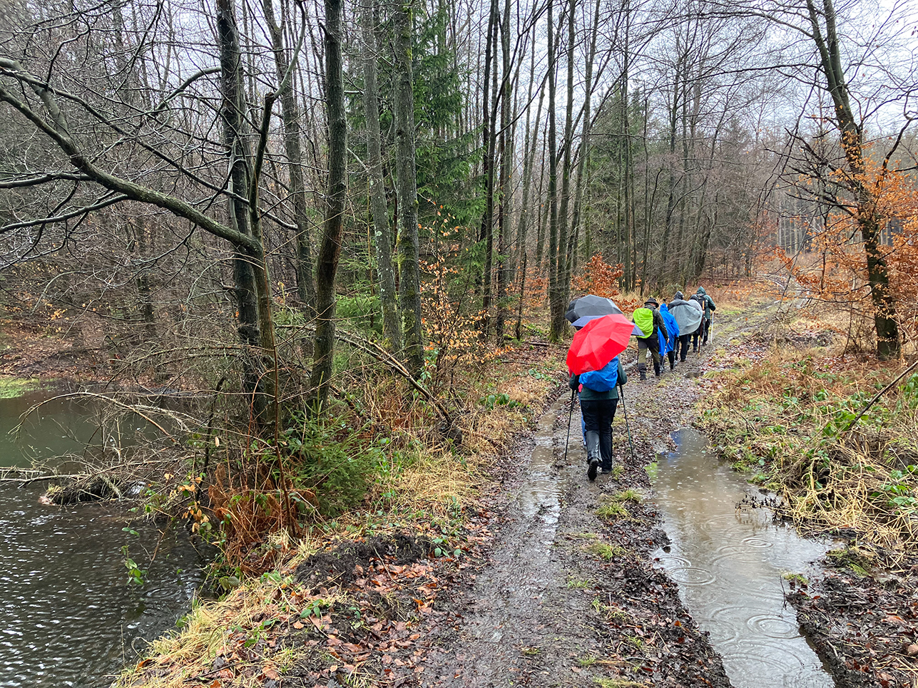 %_tempFileName02-22-Bilsteintal_12%