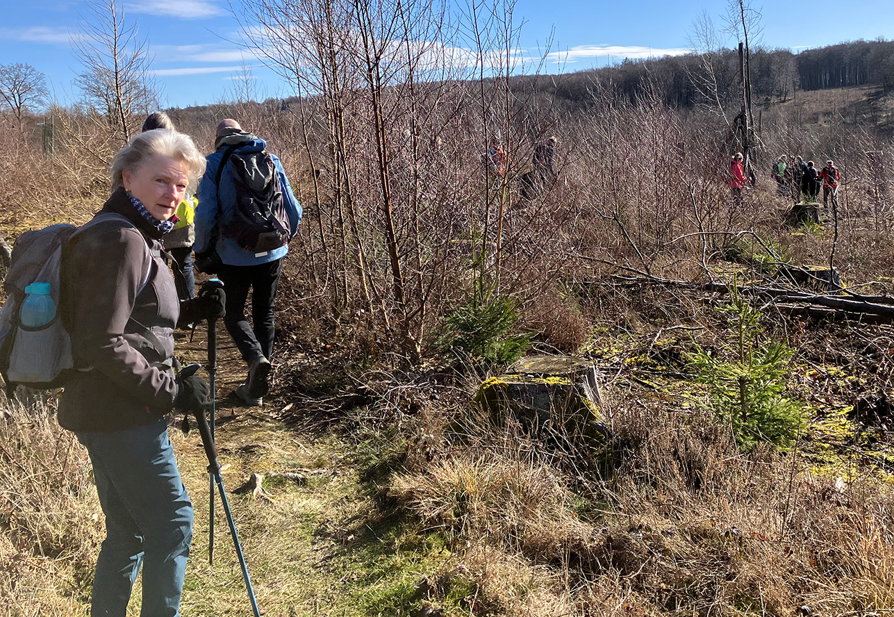 %_tempFileName03-01-Lattenberg_01%