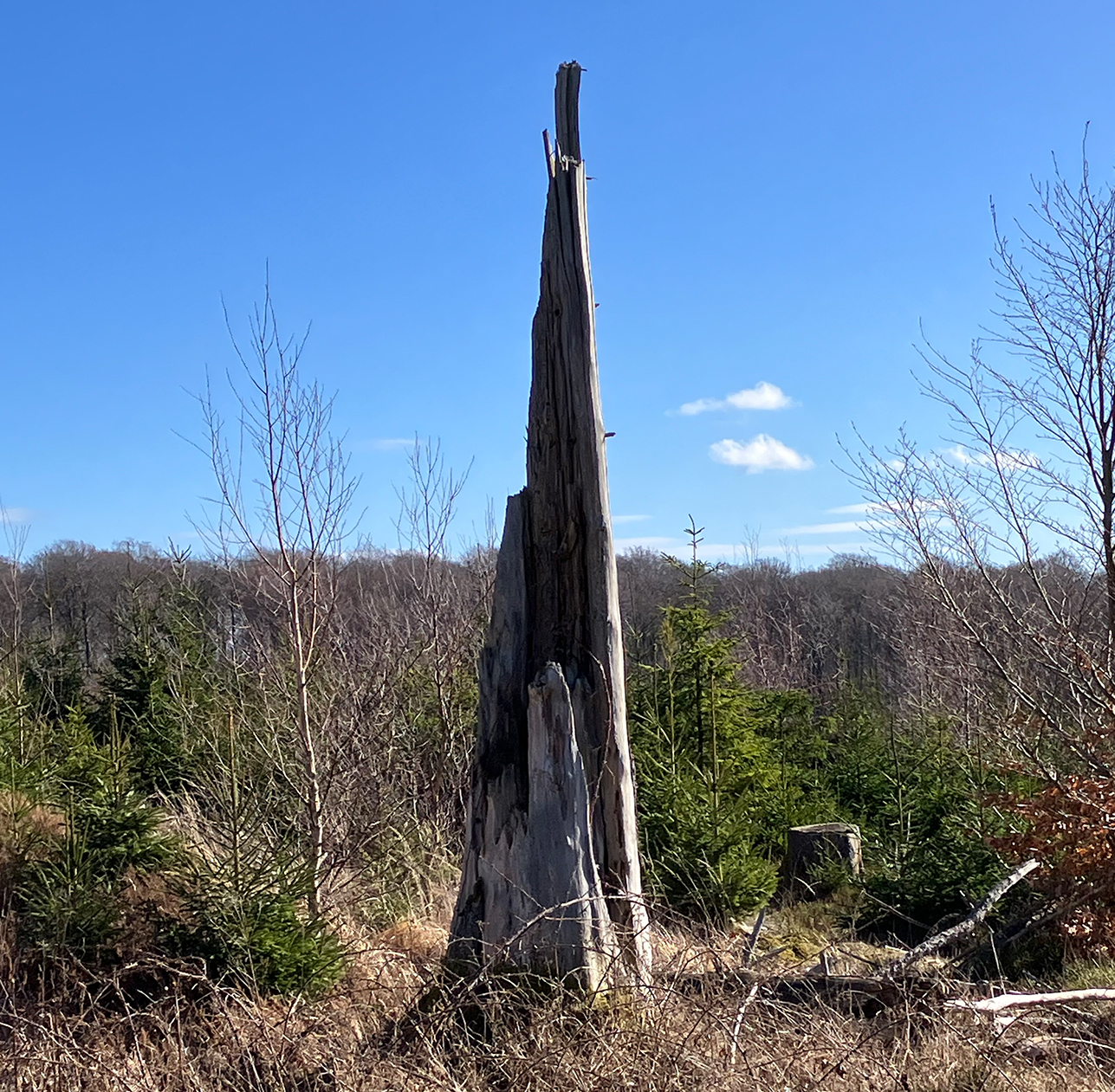 %_tempFileName03-01-Lattenberg_04%