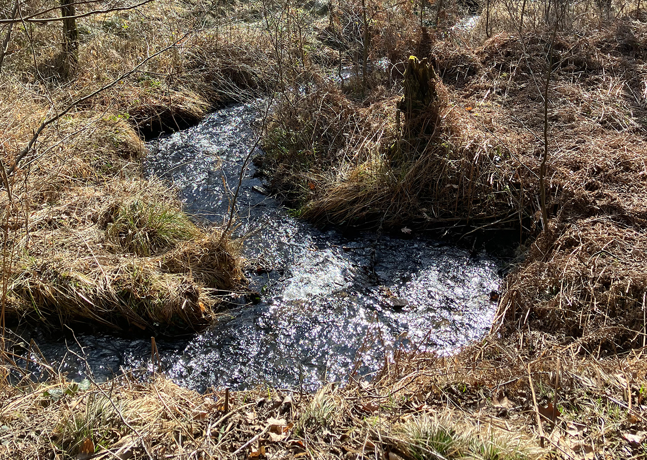 %_tempFileName03-01-Lattenberg_14%