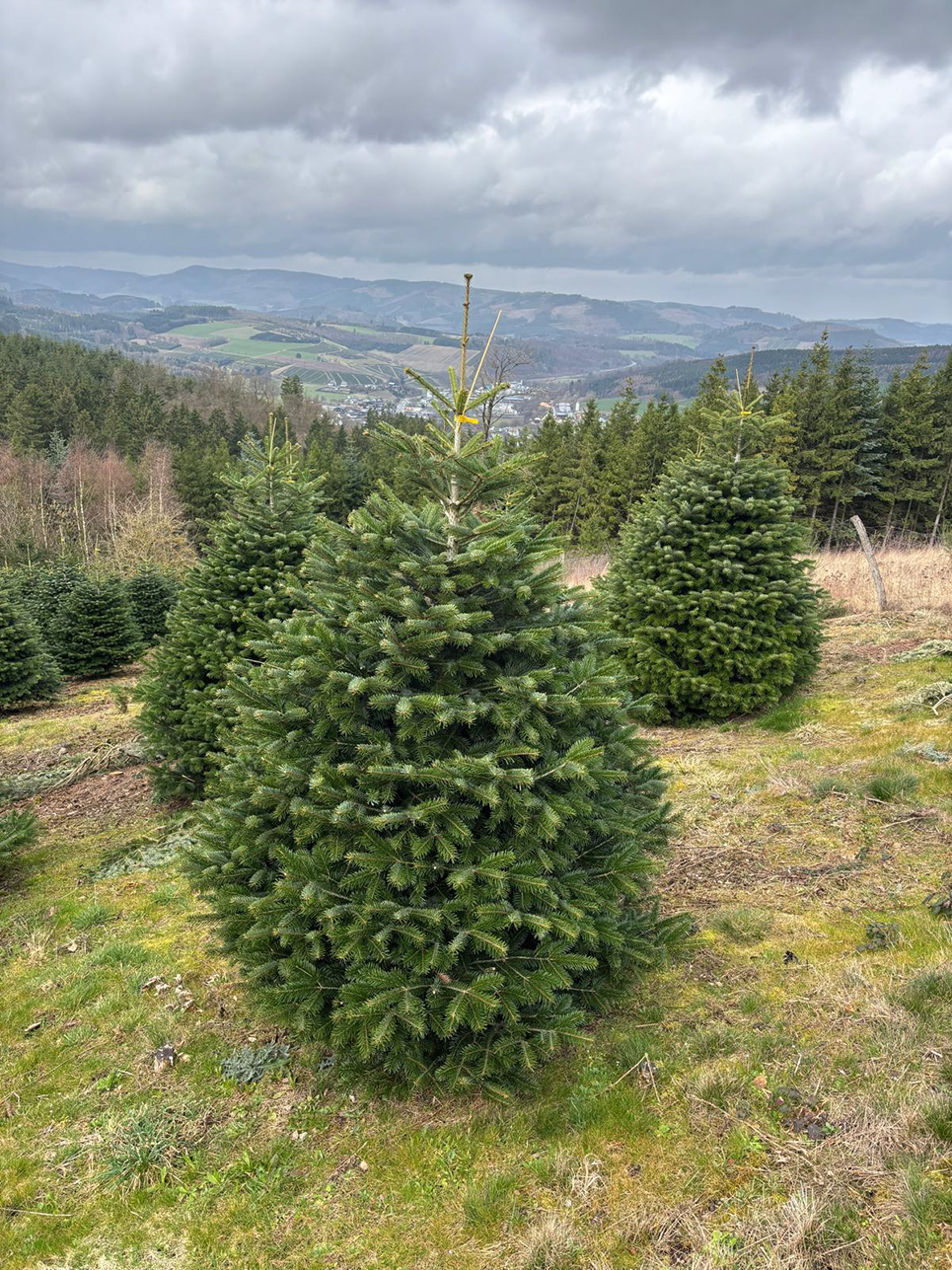 %_tempFileName03-11-Mi-Reiste_22%