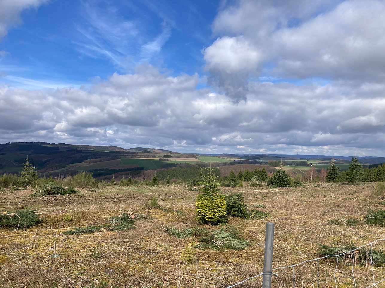 %_tempFileName03-15-Runde-von-Nichtinghausen_15%