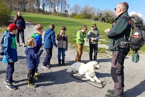 03-21-Walddetektive-02