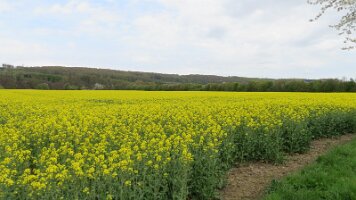04-16-Radtour-Wickede_17