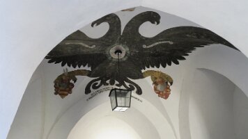 IMG_6706