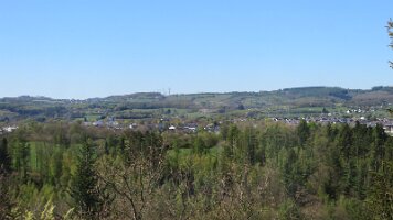 IMG_6712