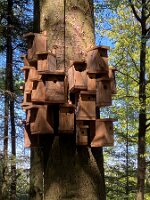 04-25-Oeventrop_07