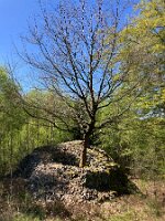 04-25-Oeventrop_11