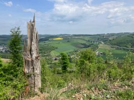05_10_Ostwig_08