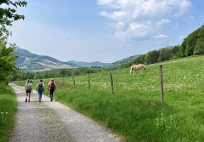 05_10_Ostwig_10