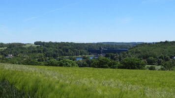 IMG_6967