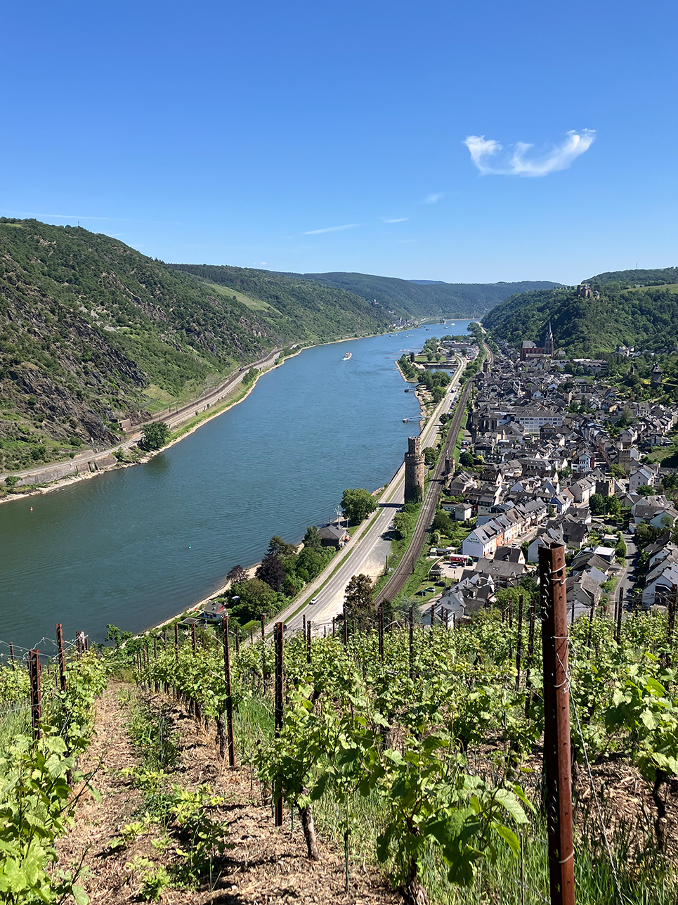%_tempFileName05-Rheinburgenweg_07%