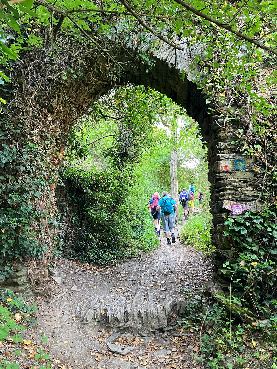 %_tempFileName05-Rheinburgenweg_09%