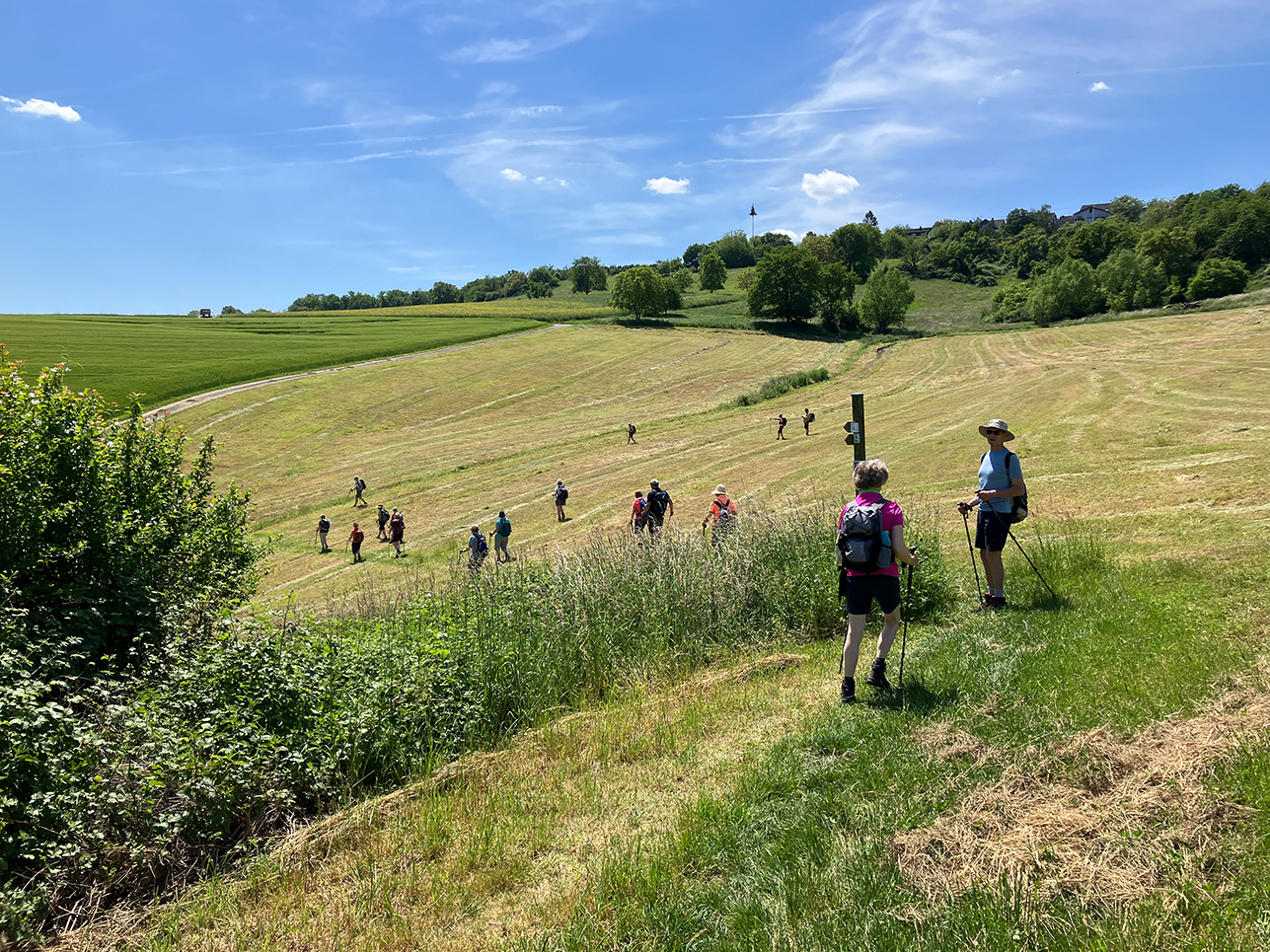 %_tempFileName05-Rheinburgenweg_21%