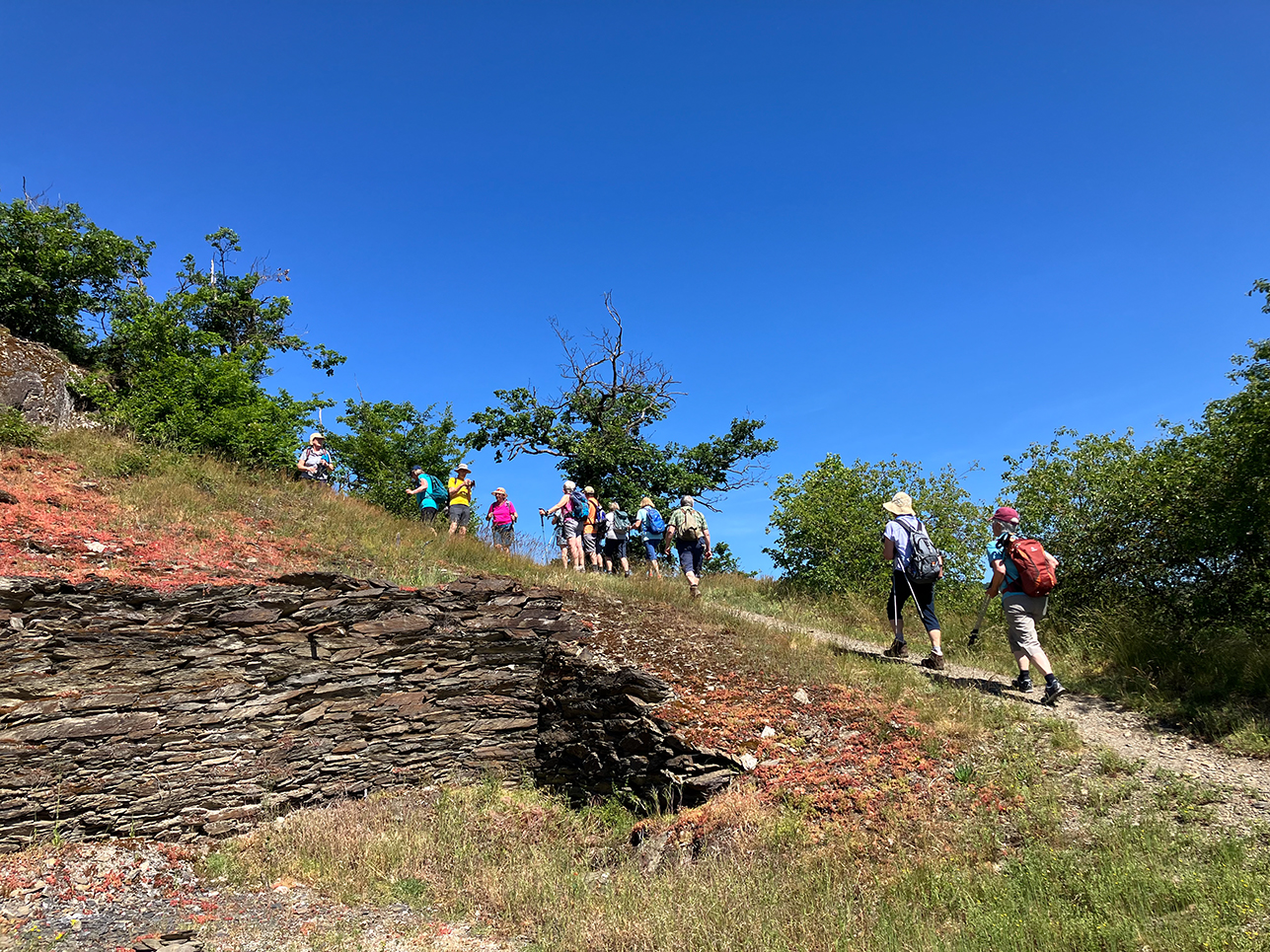 %_tempFileName05-Rheinburgenweg_41%