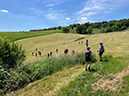 %_tempFileName05-Rheinburgenweg_21%