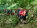 %_tempFileName05-Rheinburgenweg_36%