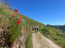 %_tempFileName05-Rheinburgenweg_40%