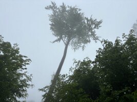 05-06-Hönnetal_03