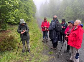 05-06-Hönnetal_05