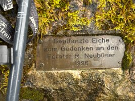 05-06-Hönnetal_07