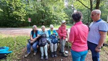 06-03-Waldroute_04