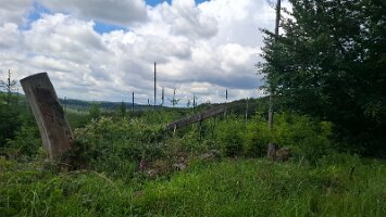 06-03-Waldroute_09