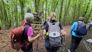 06-03-Waldroute_12