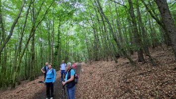 06-03-Waldroute_13