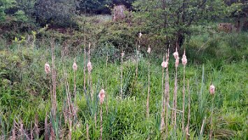 06-03-Waldroute_16