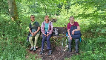06-03-Waldroute_17