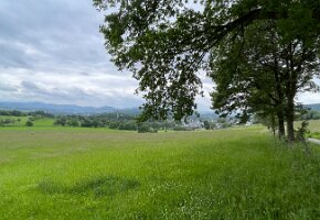 IMG_8150