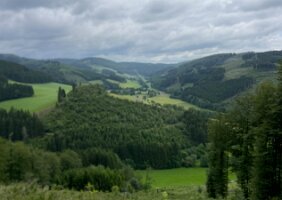 IMG_8155