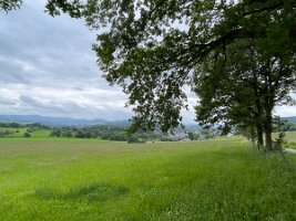 IMG_E8150