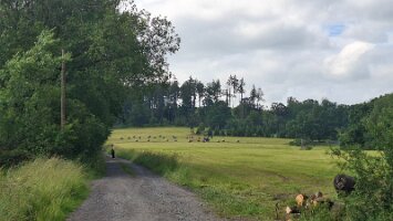 06-17-Birkenbrauck-alternativ_09