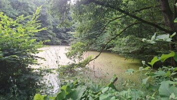 01-07-Thiergarten_07