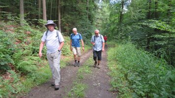 01-07-Thiergarten_12