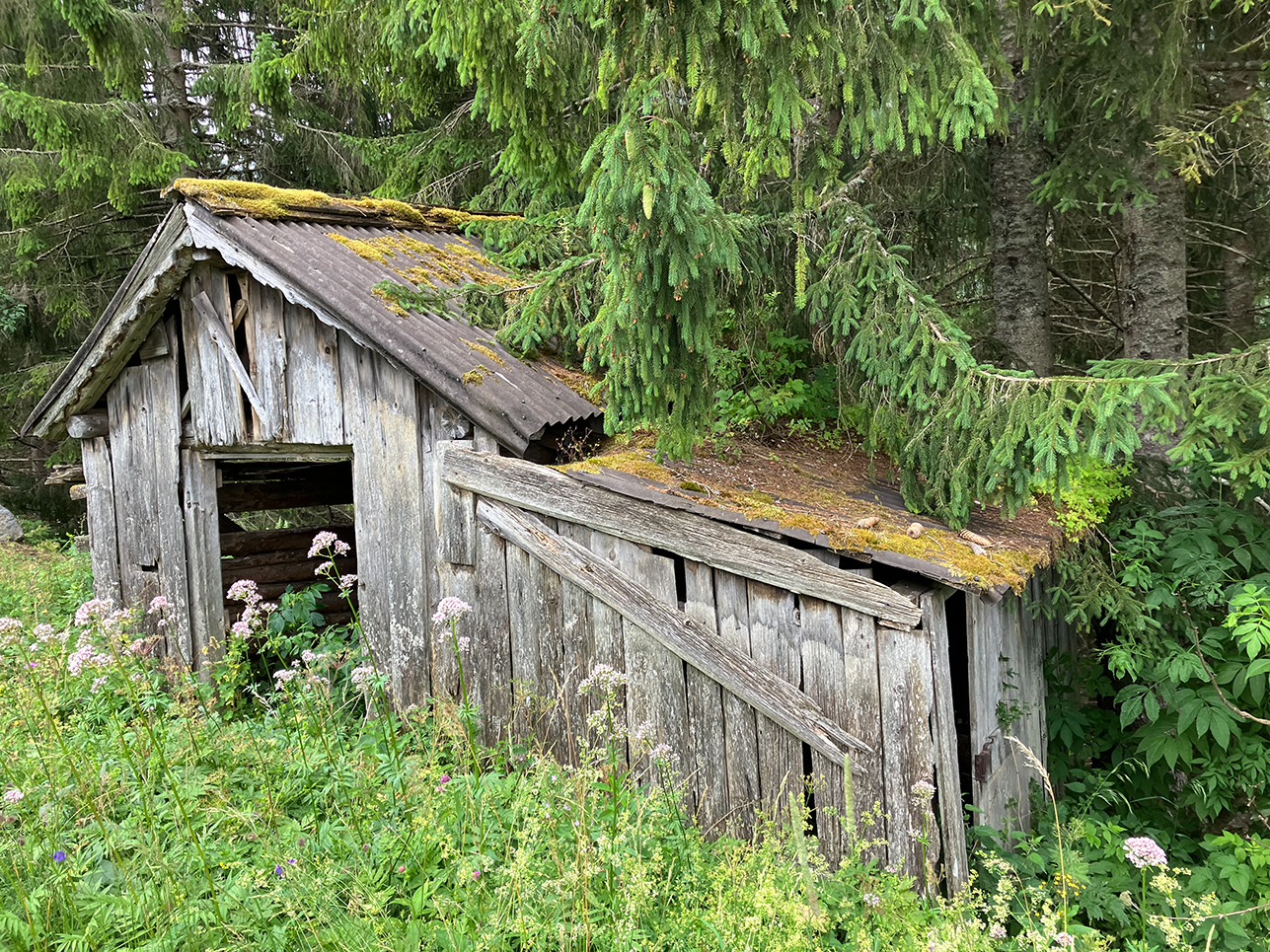 %_tempFileNameBerwang_51%