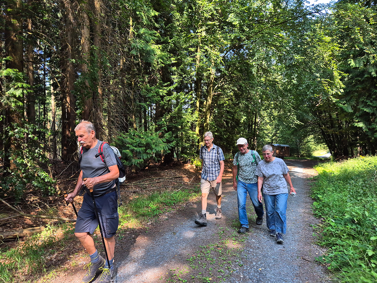 %_tempFileName08_02_Arnsberger%20Wald13%