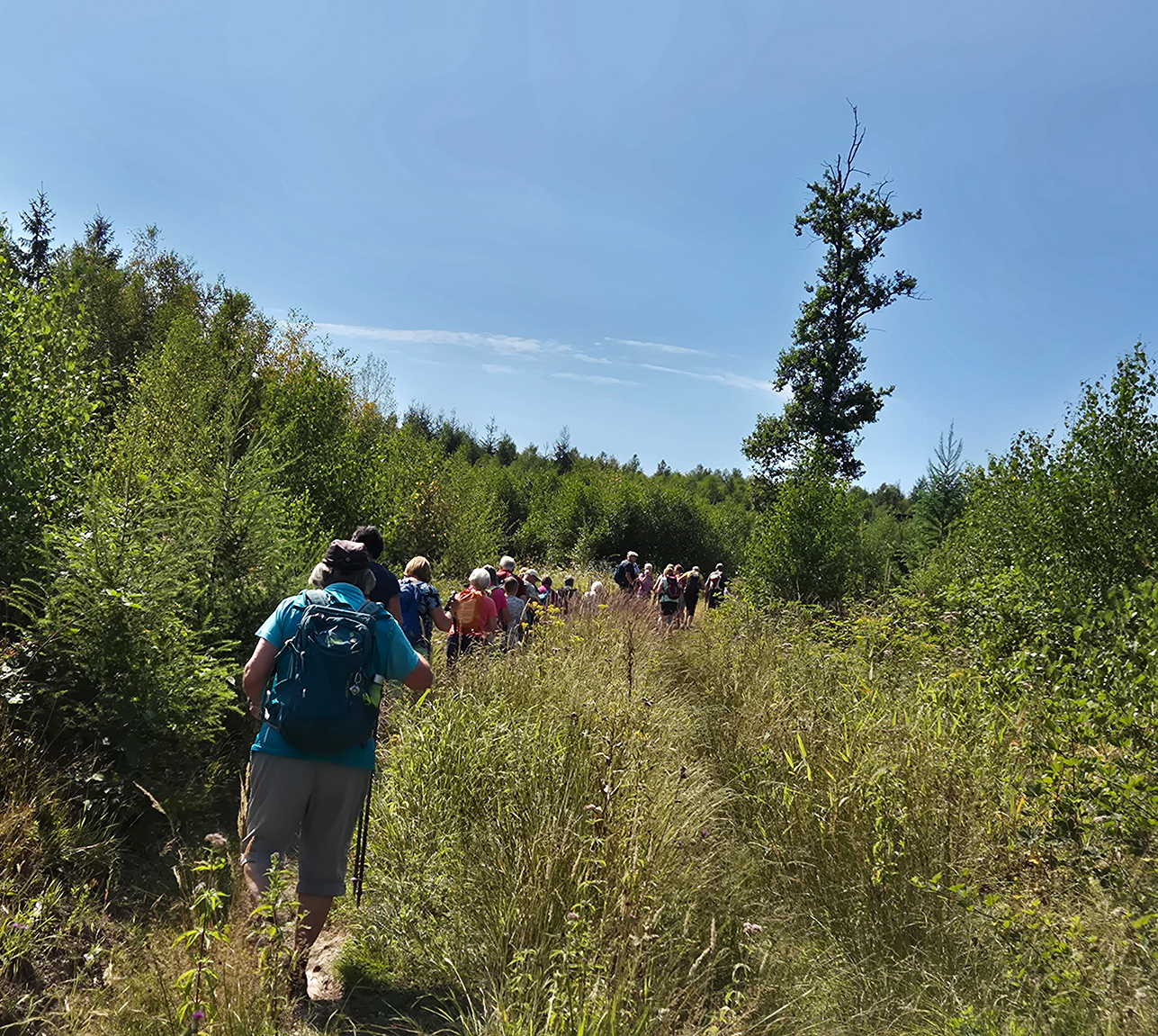 %_tempFileName08_02_Arnsberger%20Wald24%