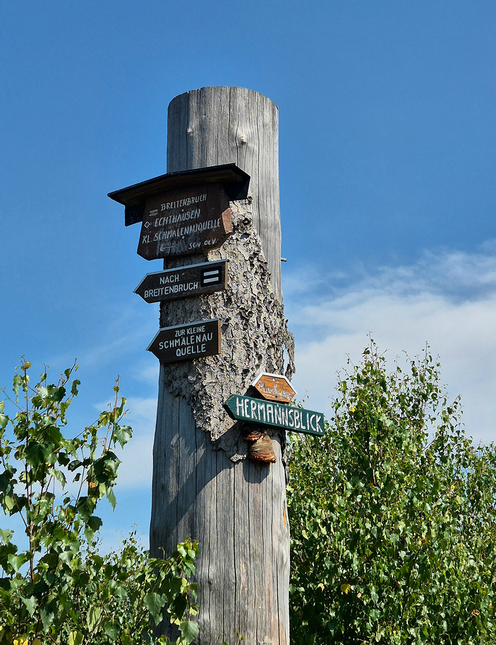 %_tempFileName08_02_Arnsberger%20Wald27%