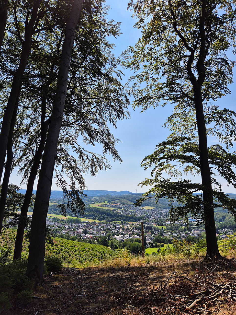 %_tempFileName08_02_Arnsberger%20Wald33%