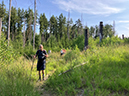 %_tempFileName08_02_Arnsberger%20Wald01%