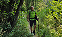 %_tempFileName08_02_Arnsberger%20Wald03%