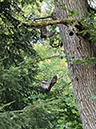 %_tempFileName08_02_Arnsberger%20Wald14%
