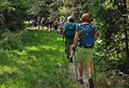 %_tempFileName08_02_Arnsberger%20Wald16%